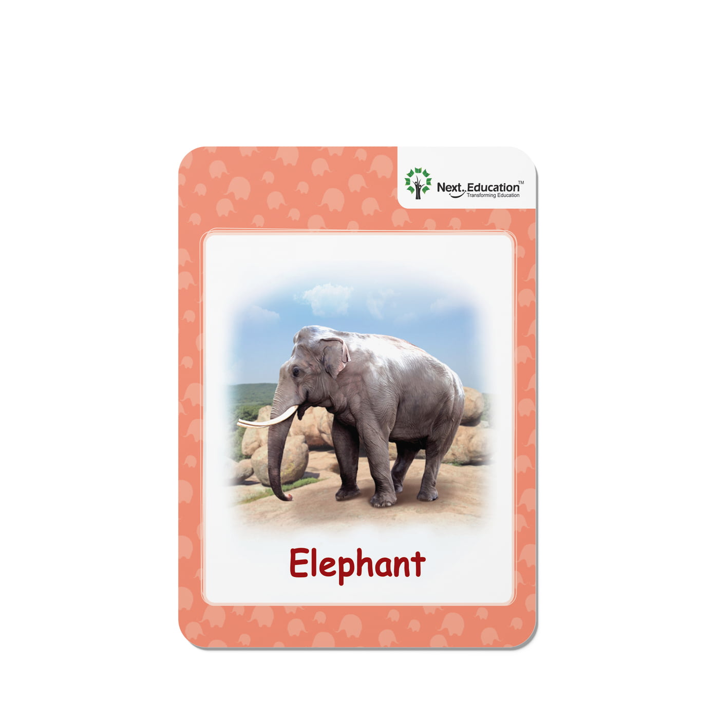 Next AR leaflet Primer B (Set of 20)