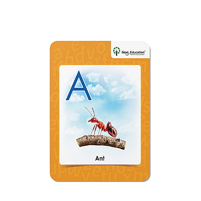 Next AR leaflet - Primer A (Set of 26) Next AR leaflet - Primer A (Set of 26)