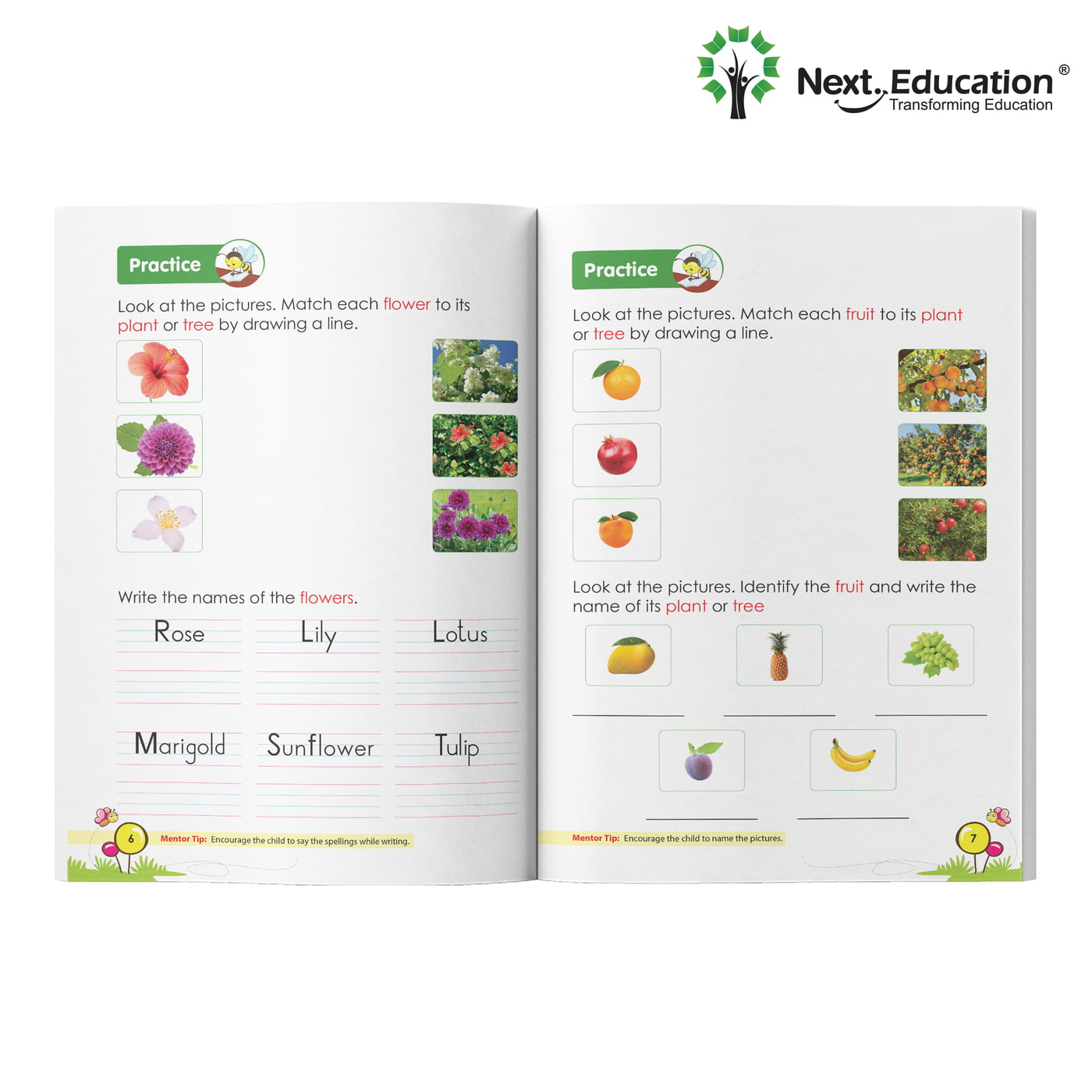 NextTots The Little Explorer PP II Book B NextTots The Little Explorer PP II Book B