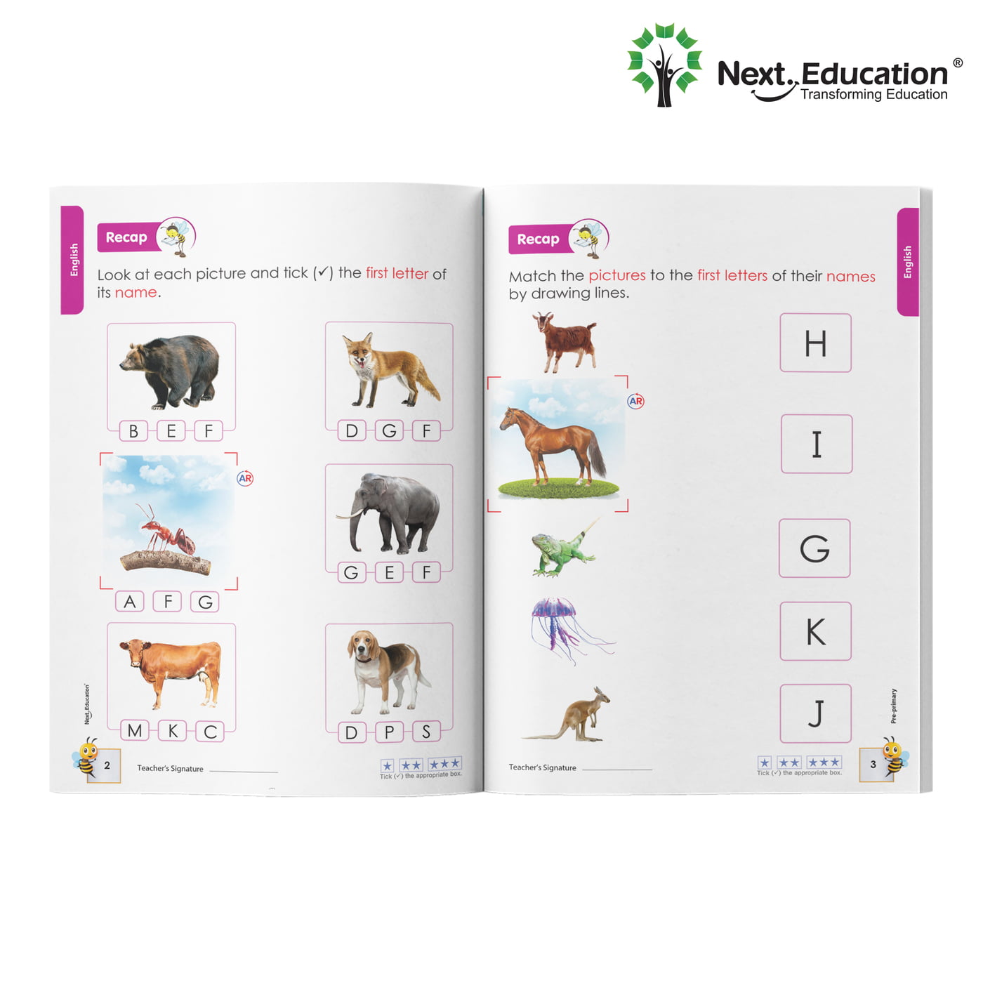 PP Tinker Advanced Primer Book 7